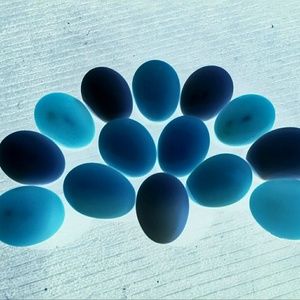 Meet your Posher, Candace